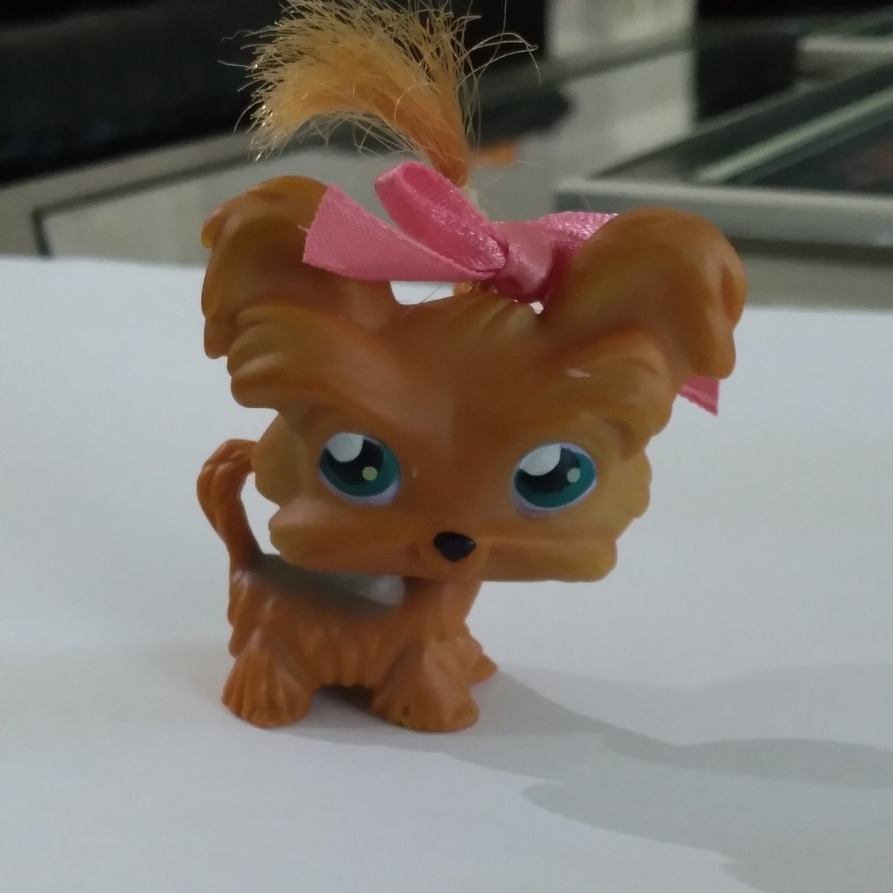Littlest pet shop shih zu #6